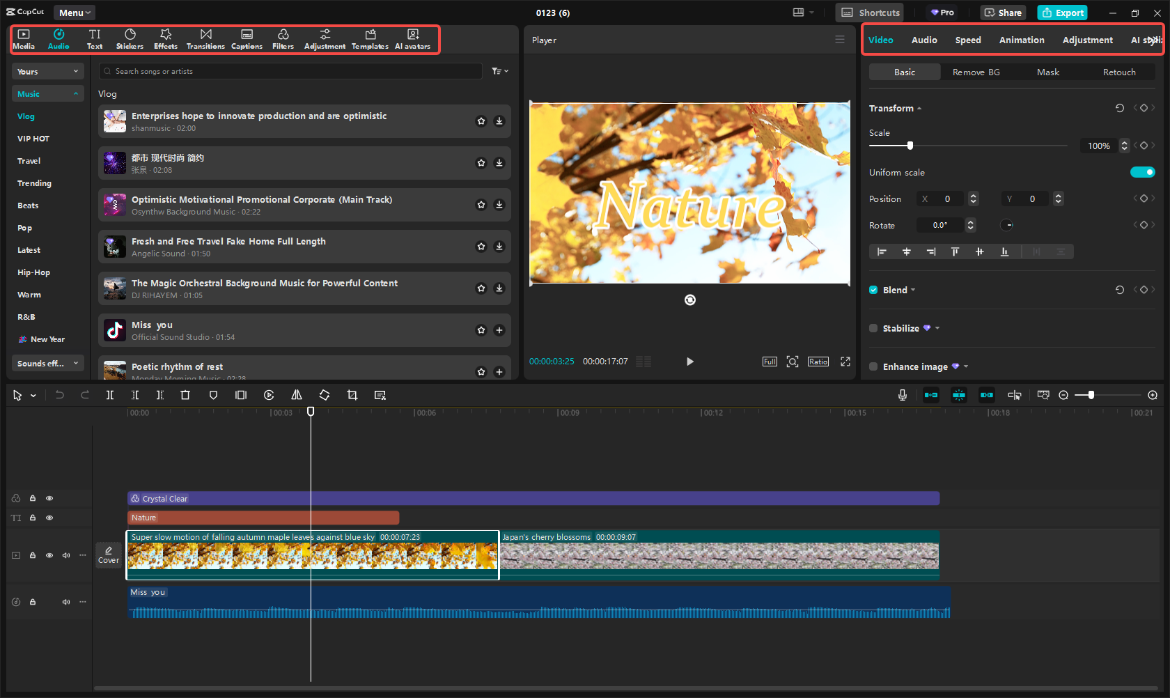 Canva interface