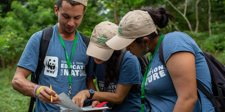 WWF forest survey