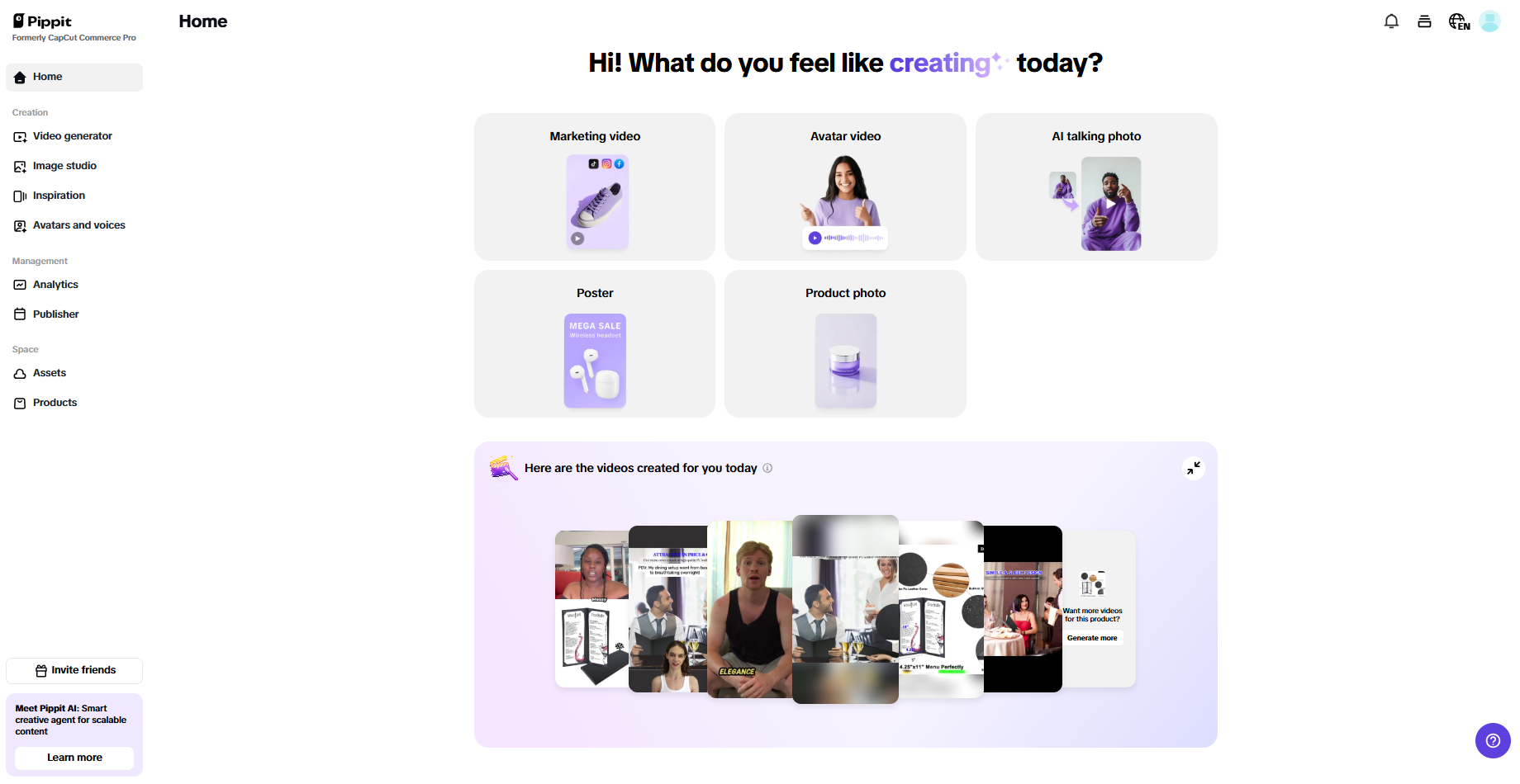 Pippit interface