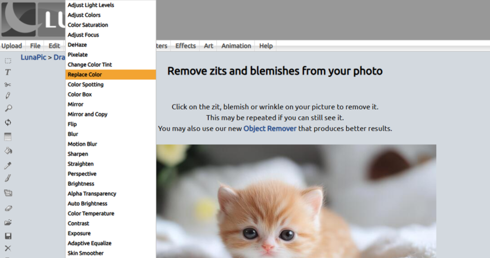 Replacing colors in the LunaPic photo editor online tool