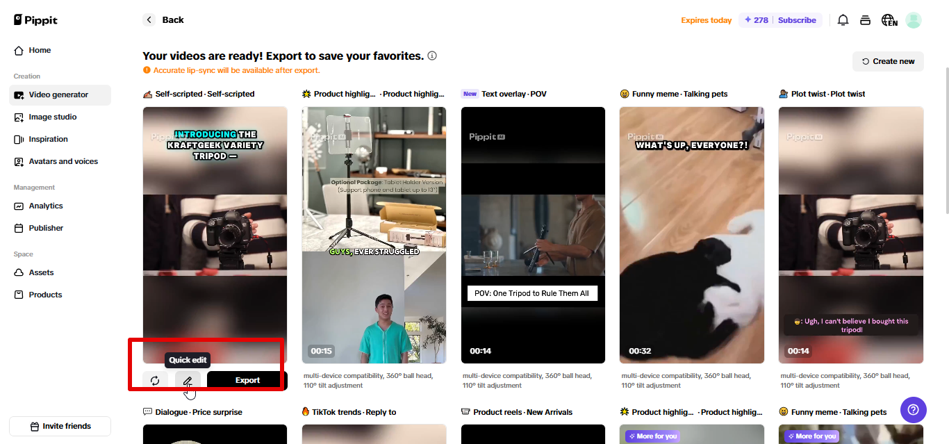 Exporting video ad from Pippit