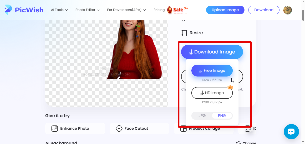 downloading image from PicWish