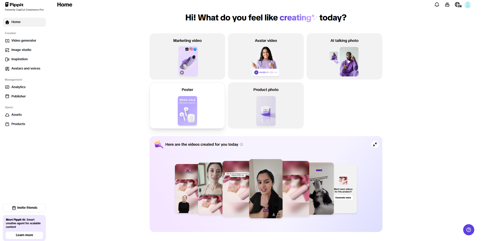 Pippit interface