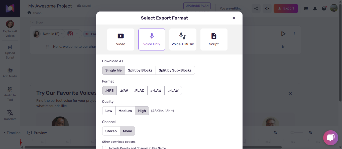 Export your audio