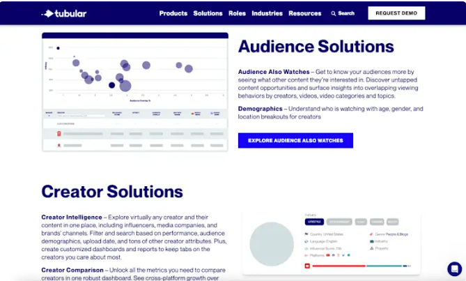 Interface of Tubular Intelligence - eine einfache Möglichkeit, Analysen anderer YouTube-Kanäle anzuzeigen