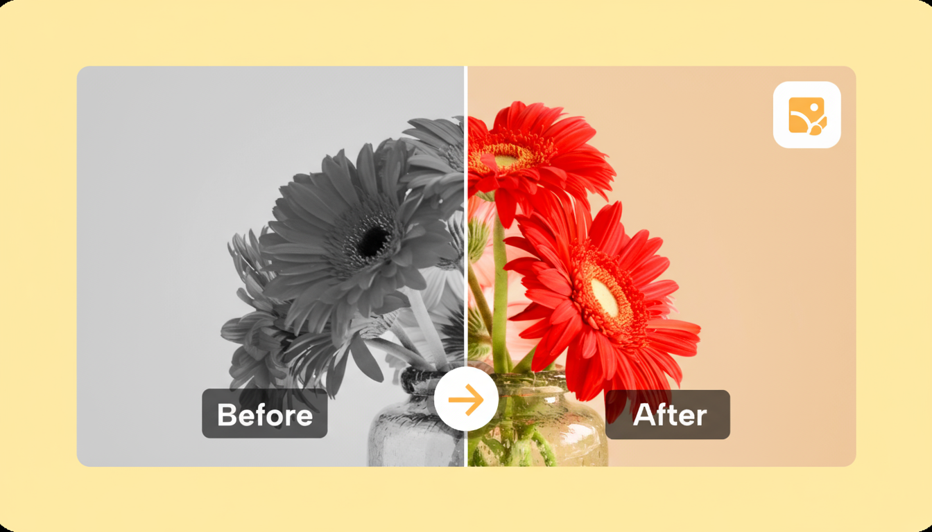 A before and after image showing the effect of color grading