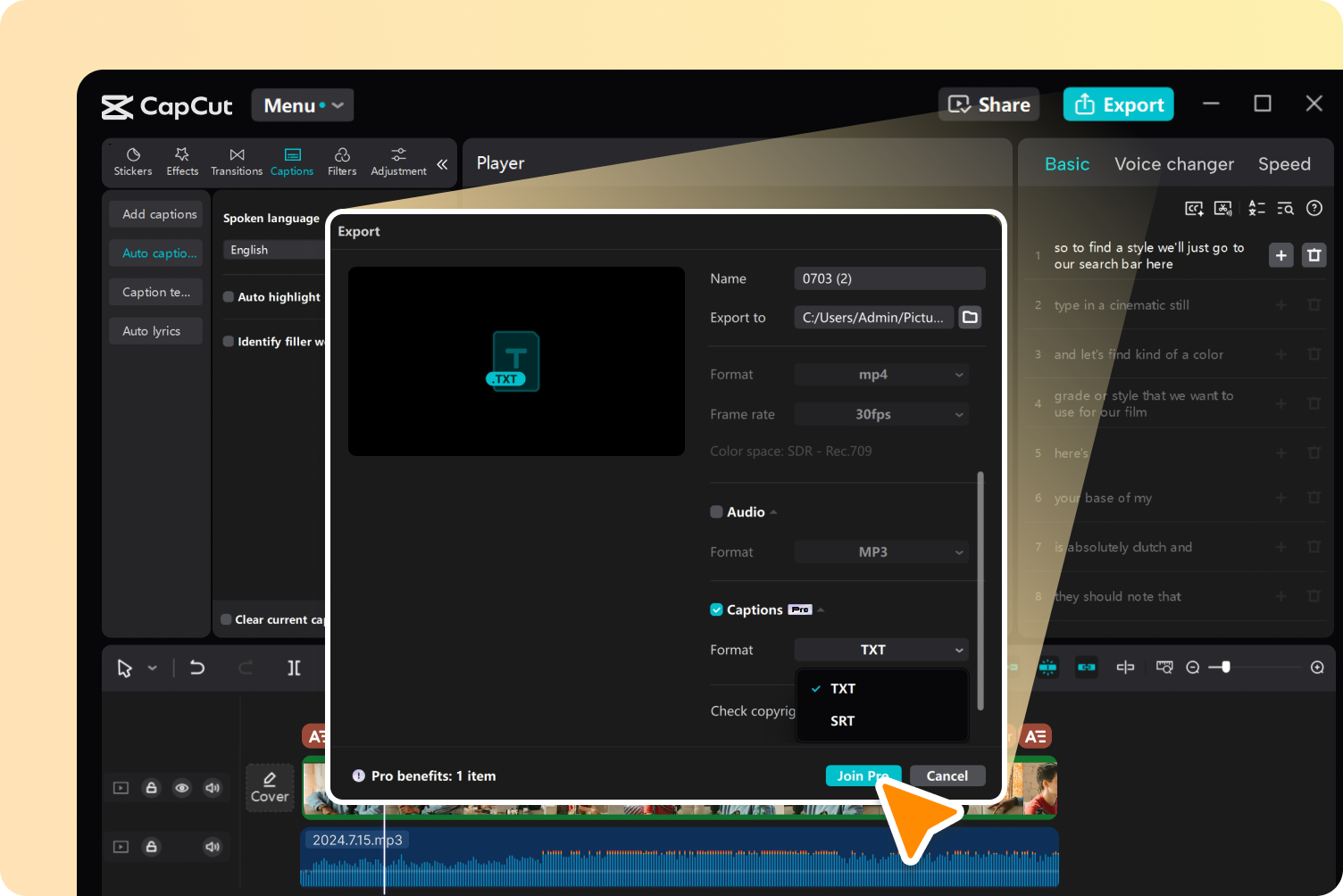 Review and export