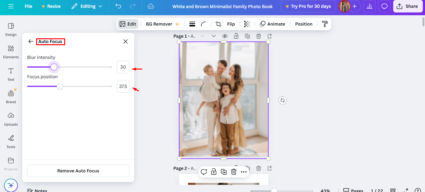 Utilisation de l'outil de mise au point automatique de Canva pour flouter une photo