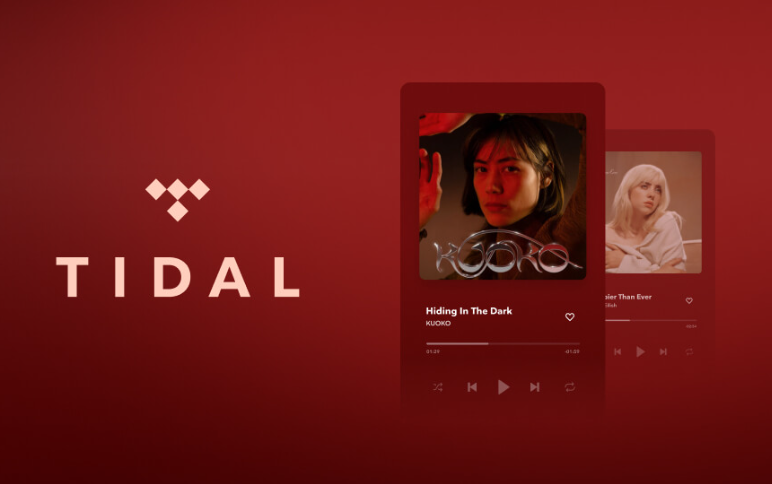 Resumo das tendências musicais anuais em Tidal Wrapping
