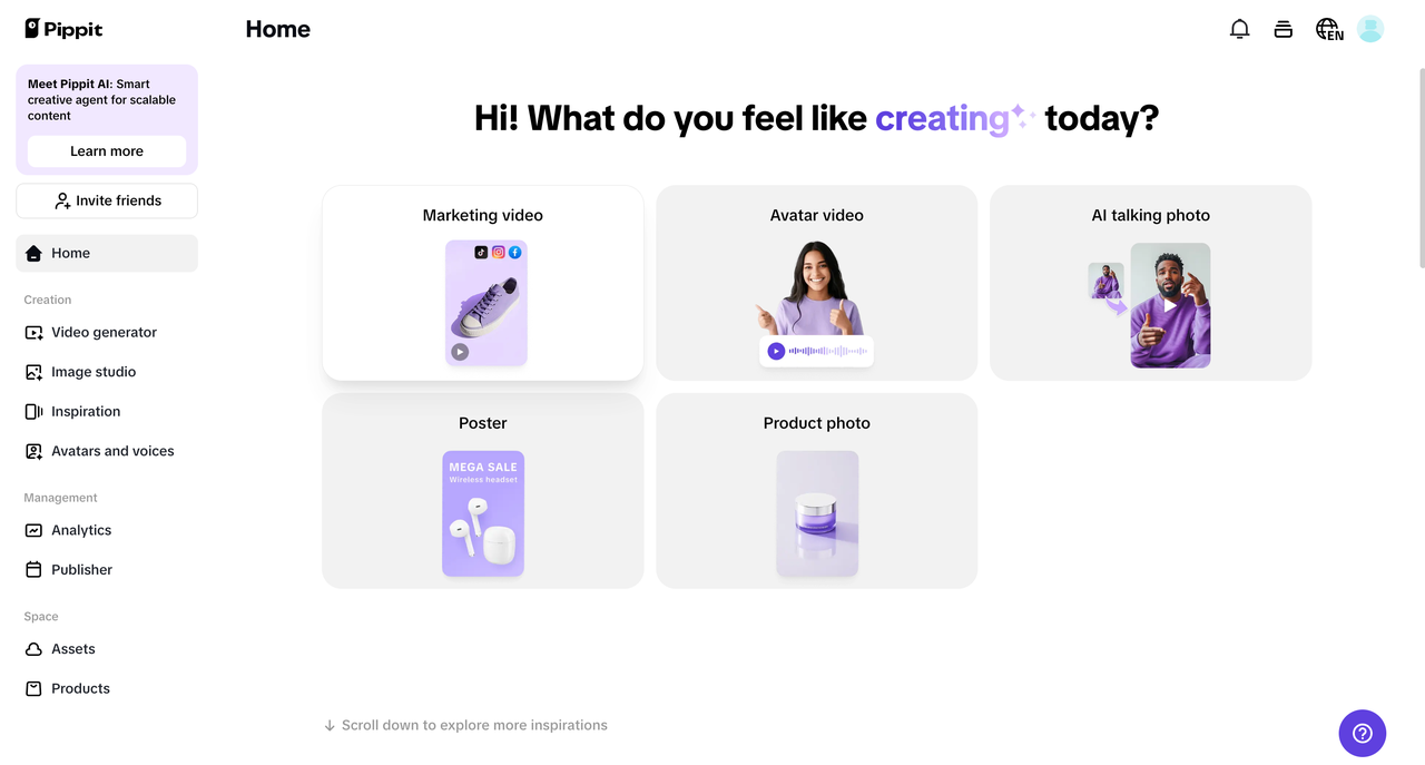 Pippit interface