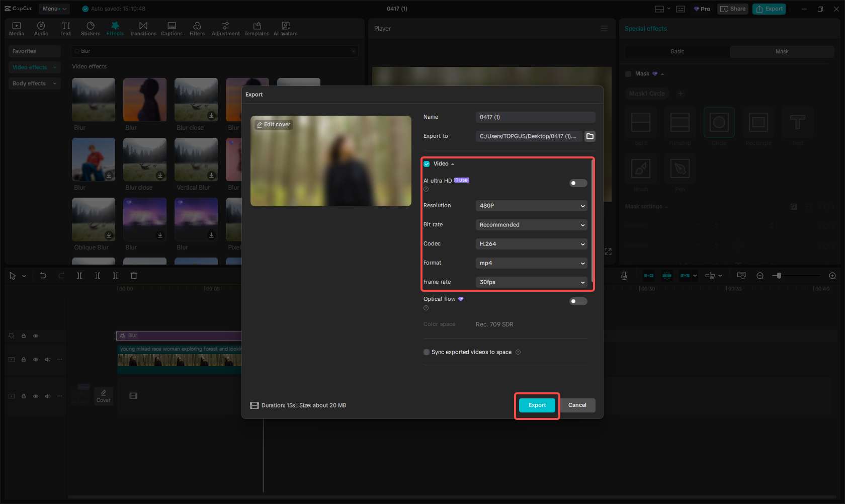 Export the blurred video