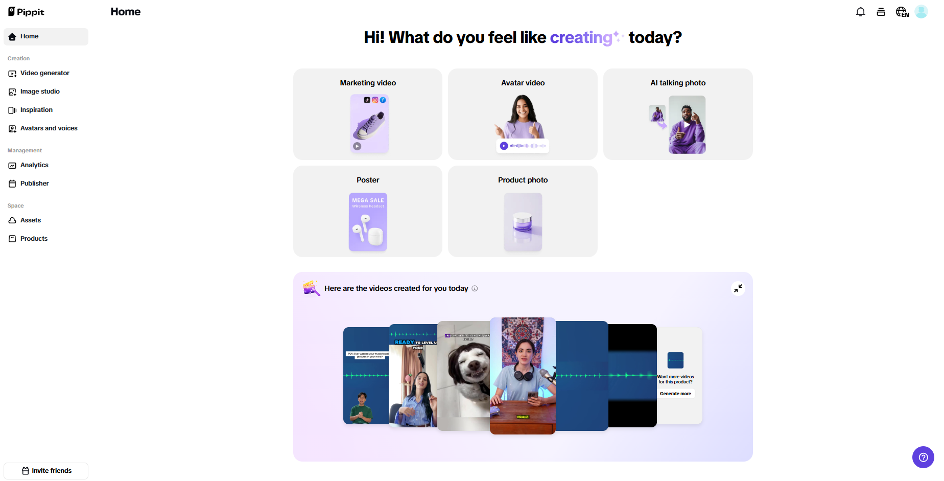 Pippit interface