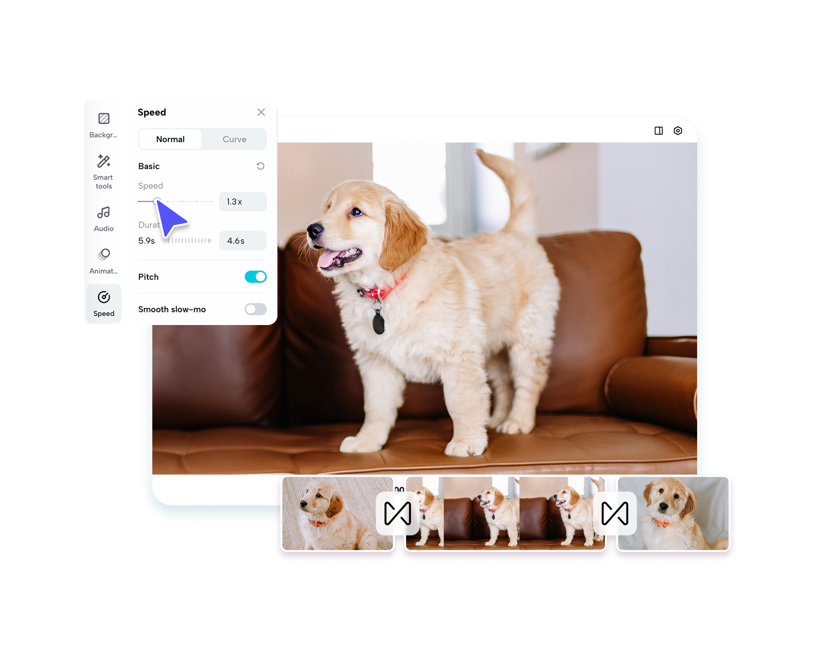 Free Video Loop Maker