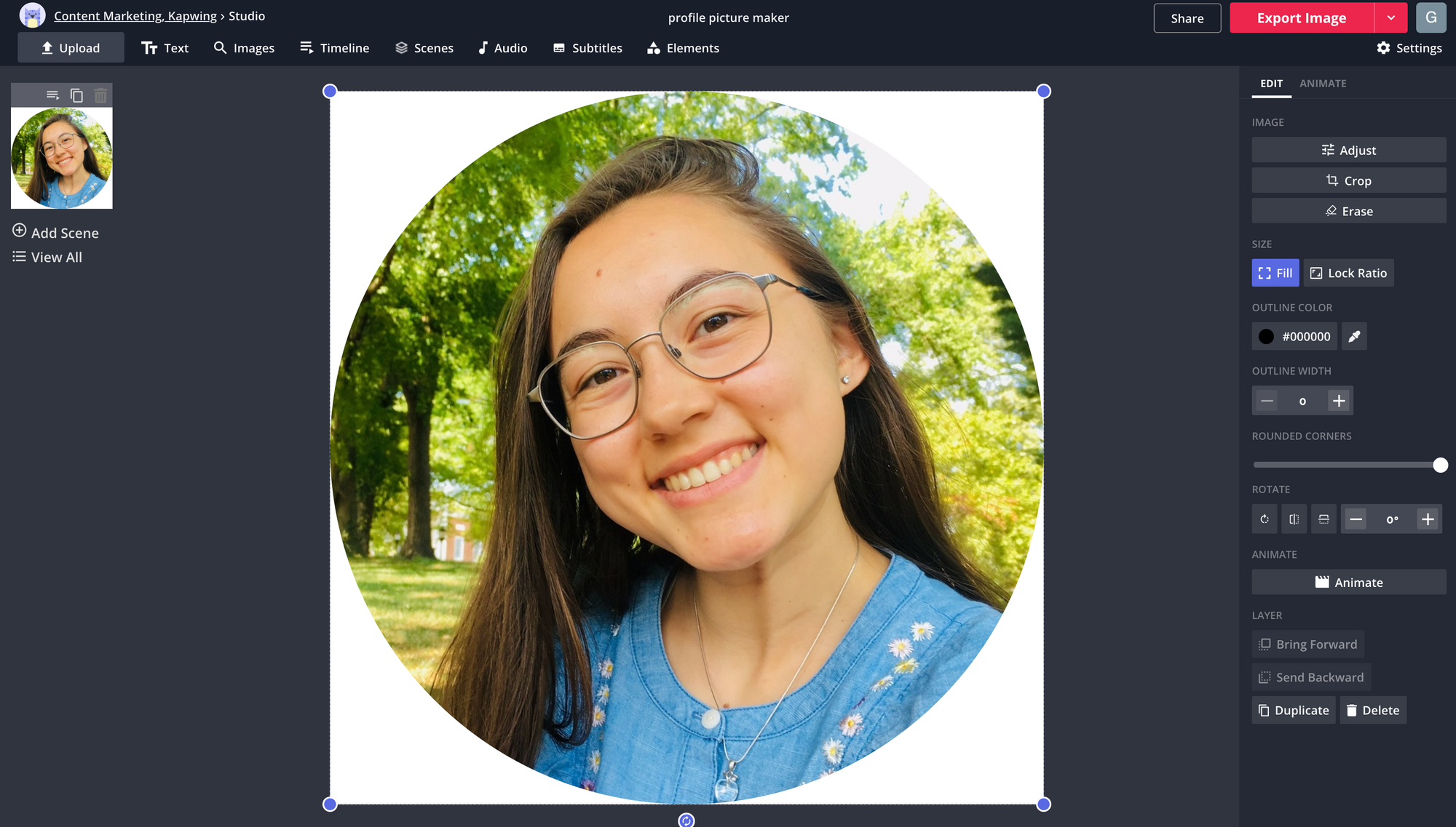 Interfaccia di Kapwing - un creatore di foto profilo per Facebook facile da usare.