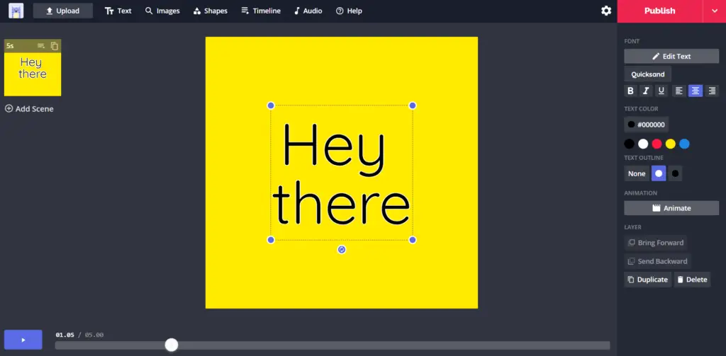 Kapwing interface