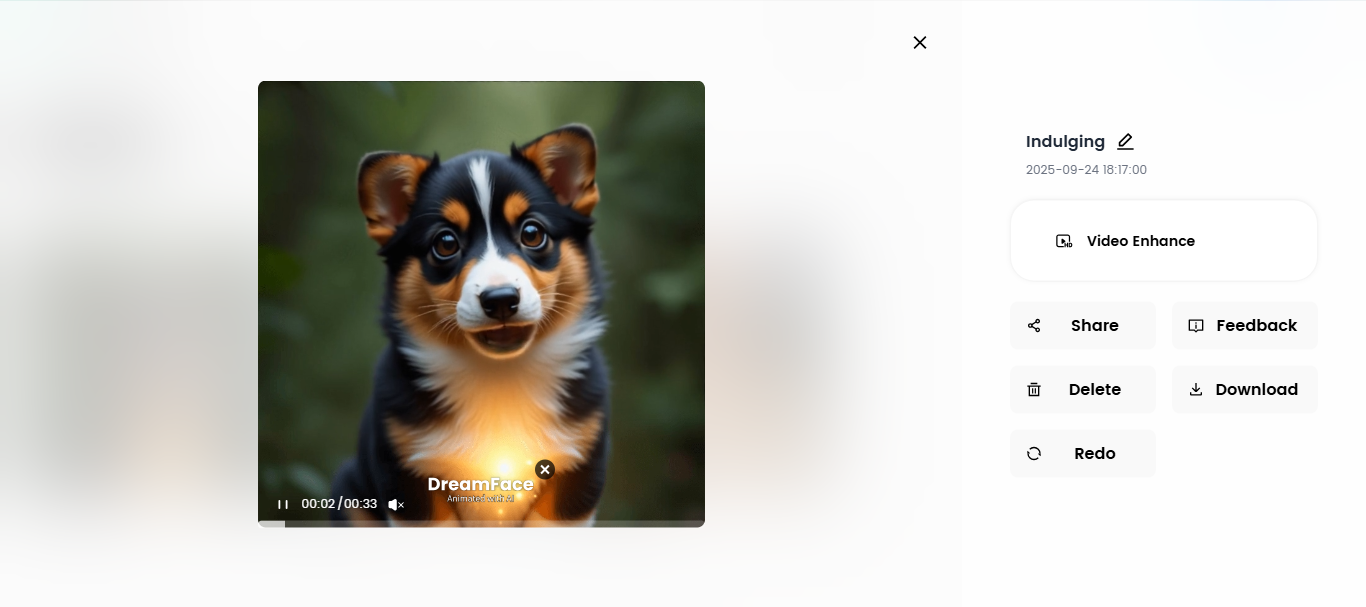 dreamface