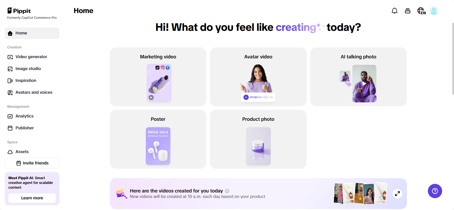 Pippit interface