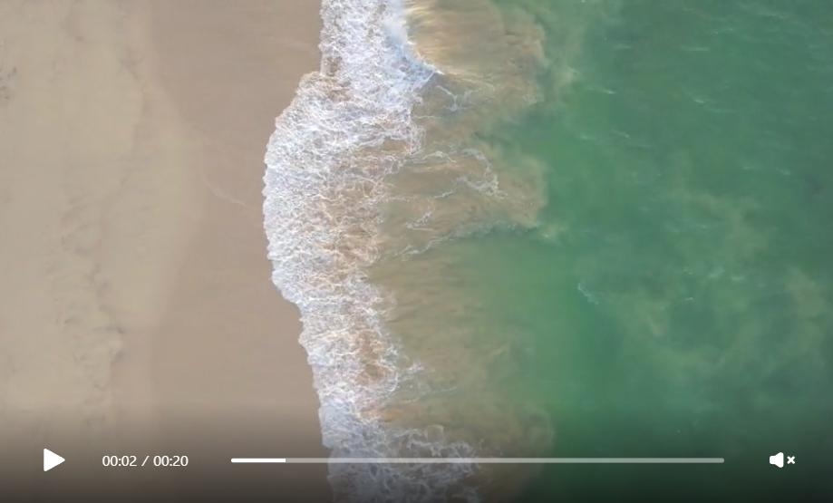 Beach/ ocean videos