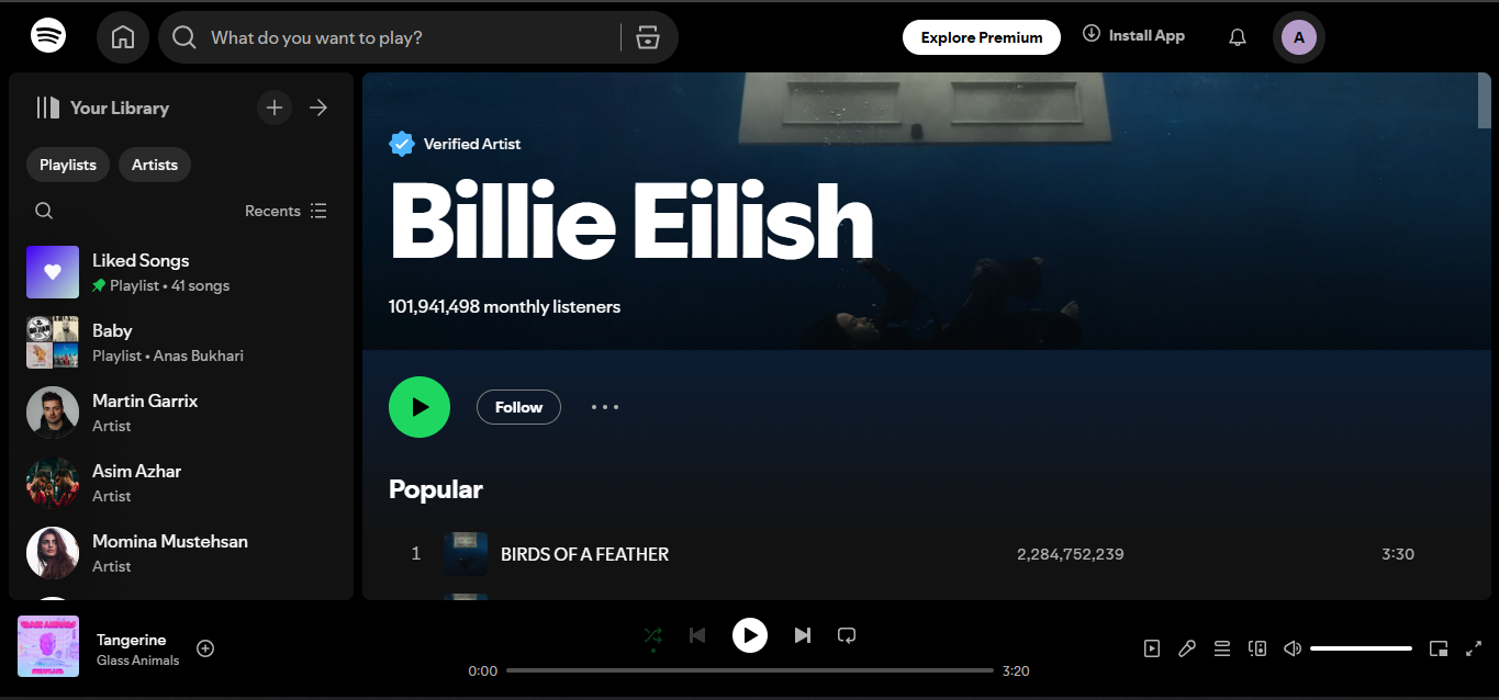 Billie Eilish - Aufgeführt unter den Top 500 Künstlern von Spotify