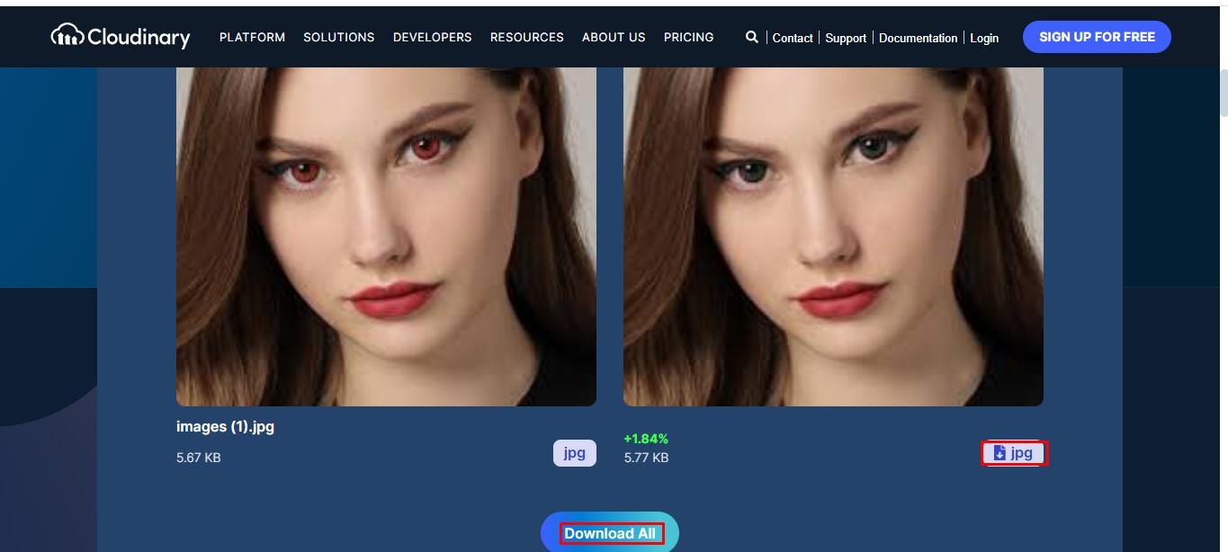 Descargue la imagen de la herramienta en línea de corrección de ojos rojos