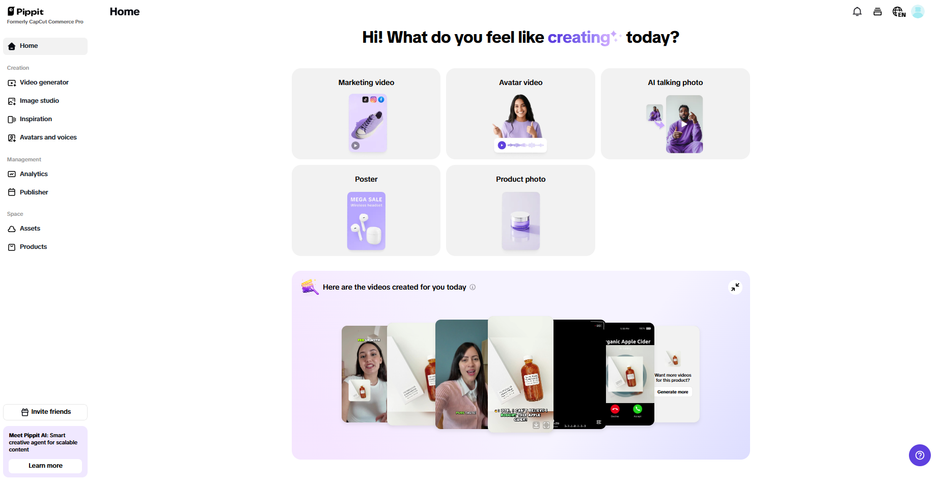 Pippit interface