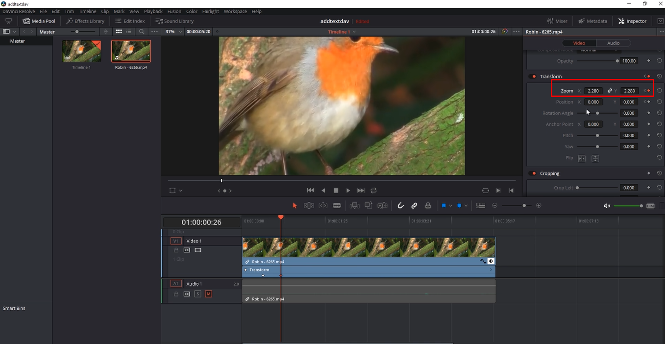 Anwenden und Anpassen des Zooms in einem Video in DaVinci Resolve