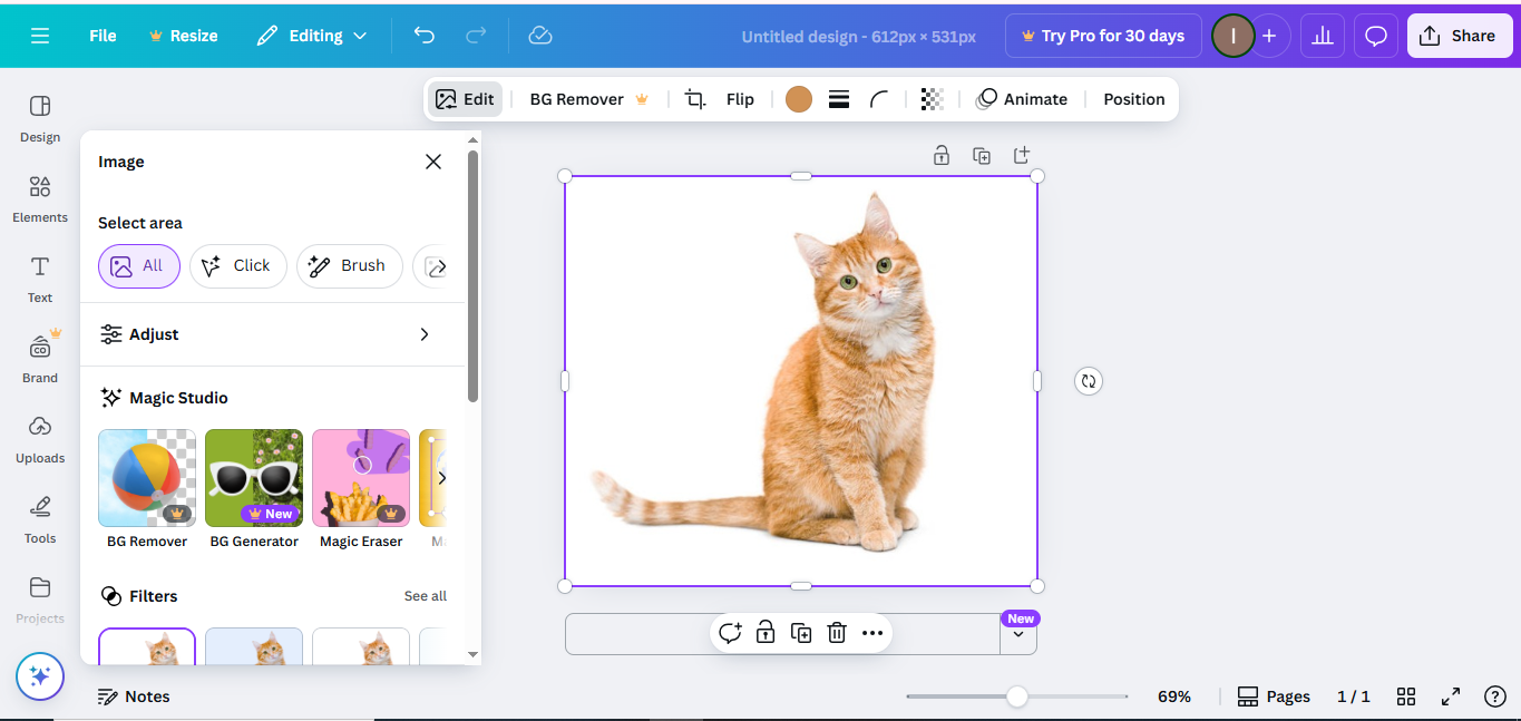 Canva - un cambiador de fondo de foto confiable