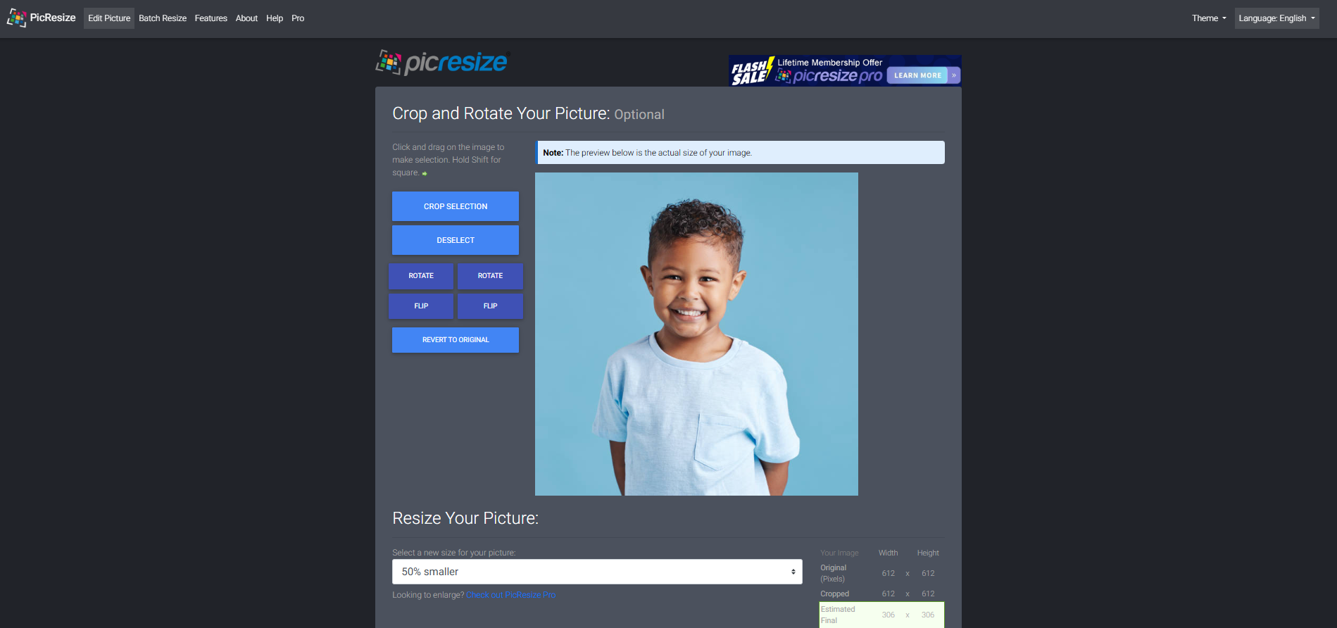 Interfaccia di PicResize - un editor di dimensioni foto user-friendly