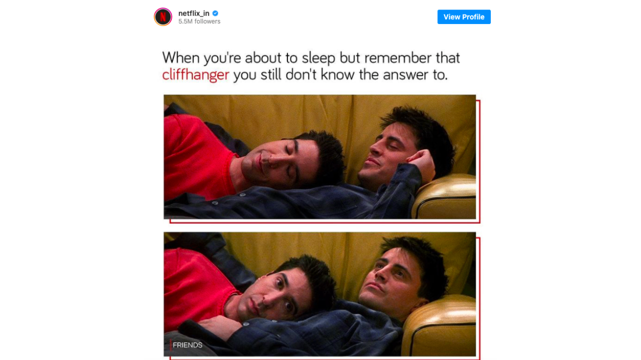 Netflix in meme marketing