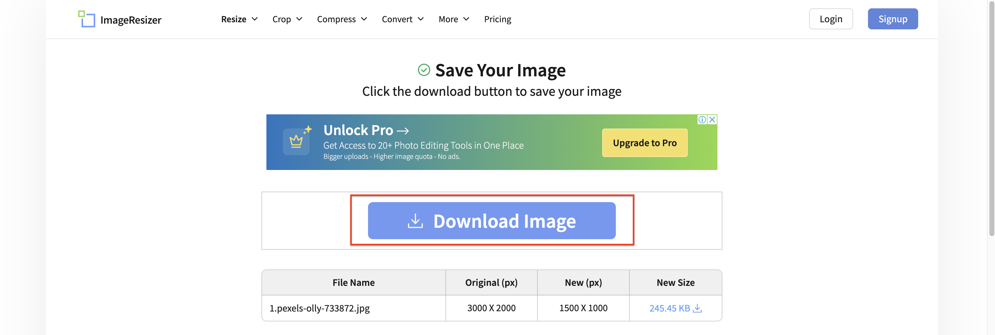 Descarga la imagen redimensionada
