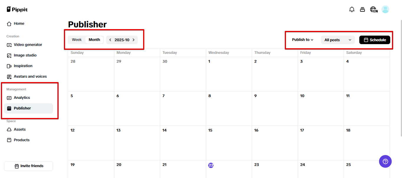 Automatyczne publikowanie i analityka w Pippit