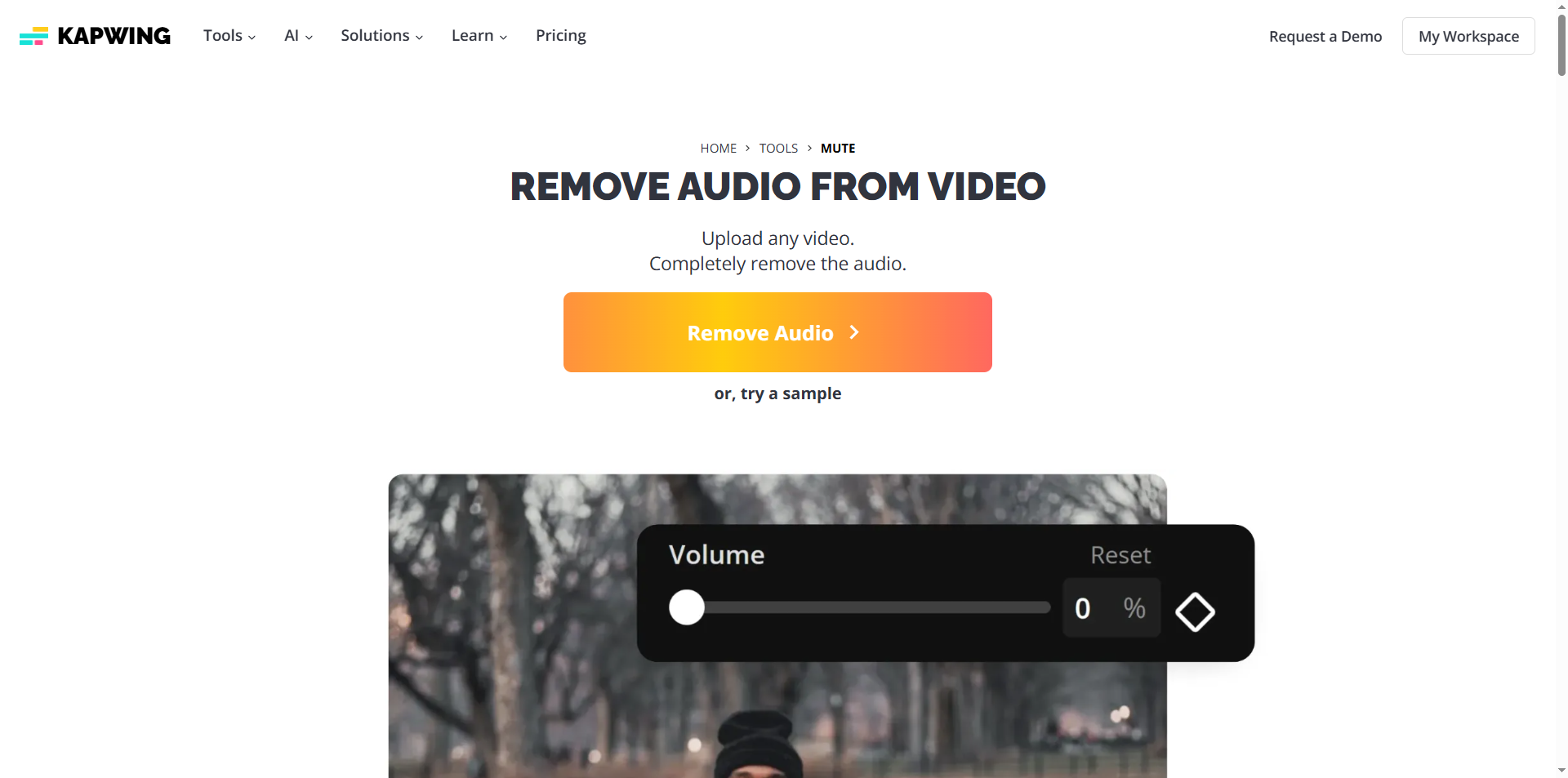 Kapwing interface