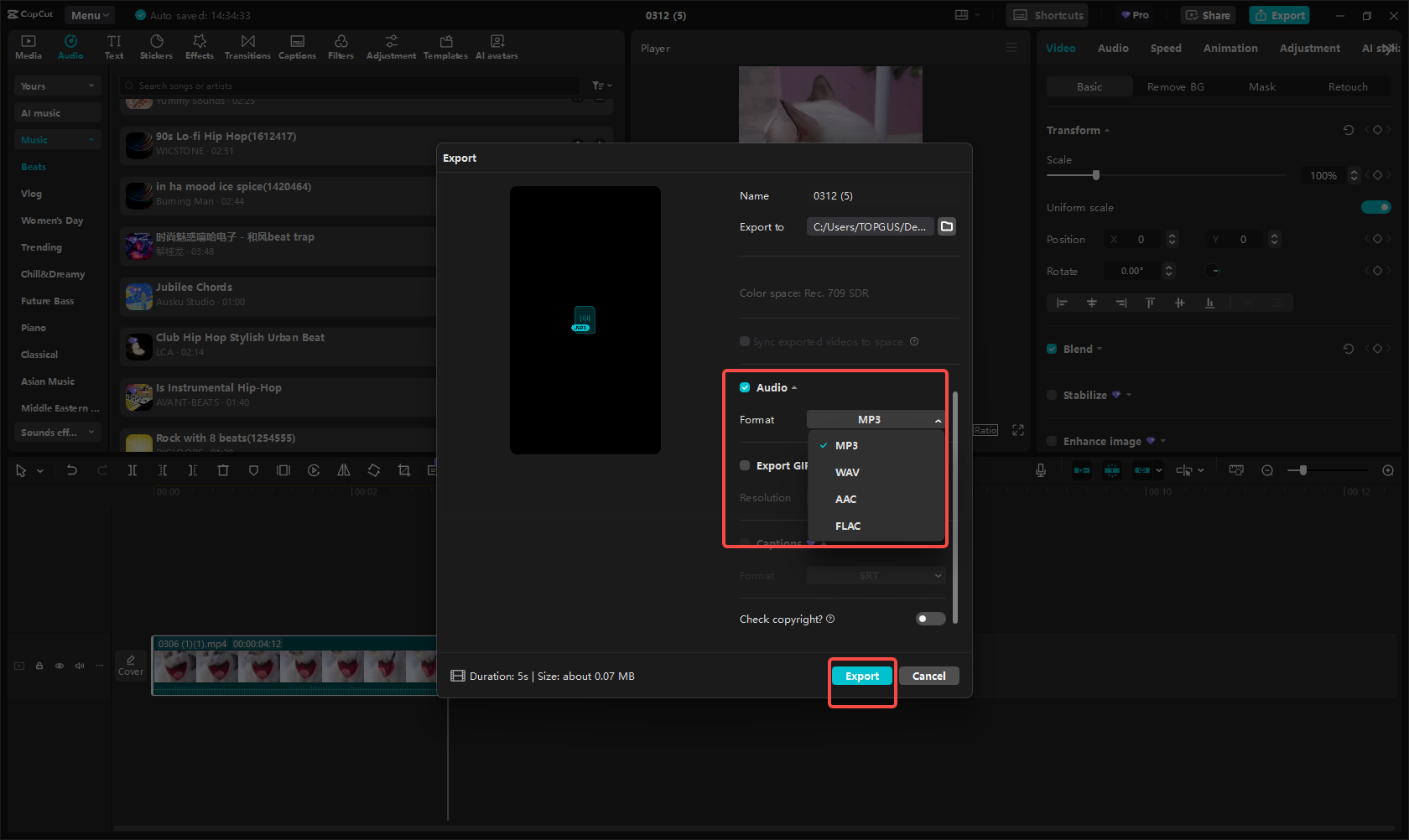 Esportare l'audio Instagram Reel in CapCut