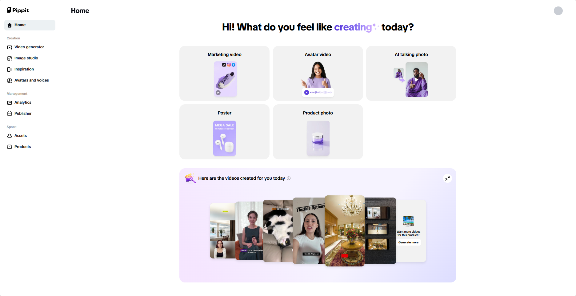 Pippit interface