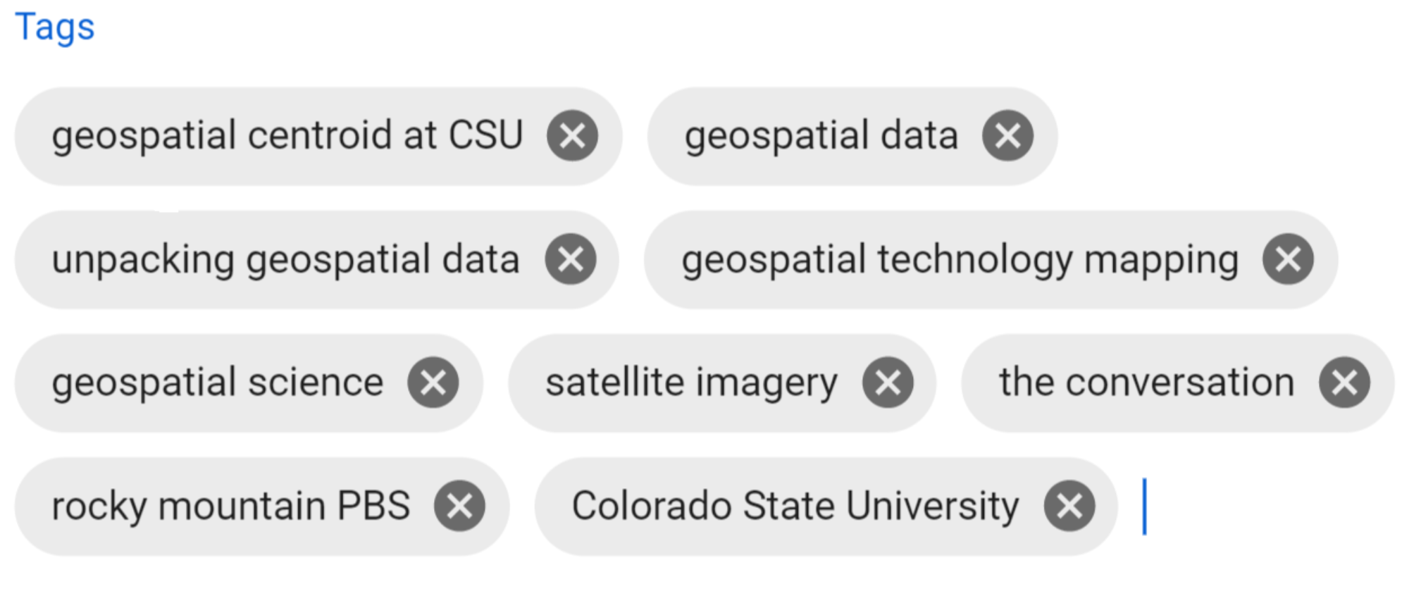 Utilizzare tag pertinenti per aumentare la visibilità