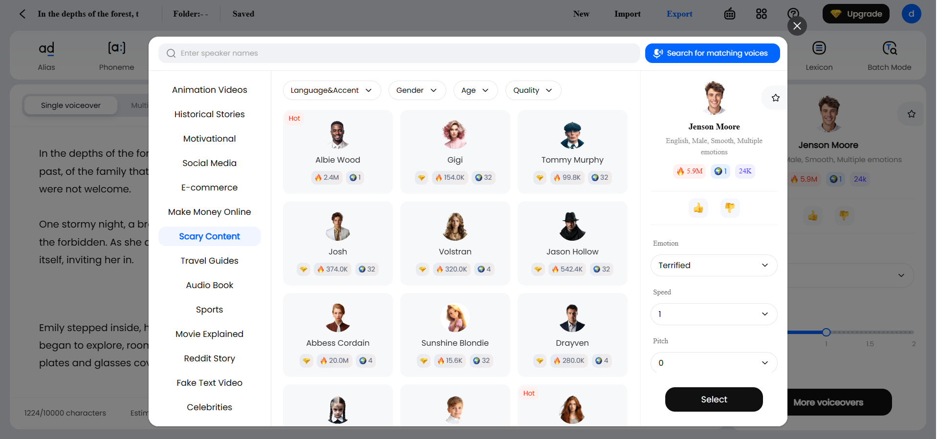 Dupdub interface