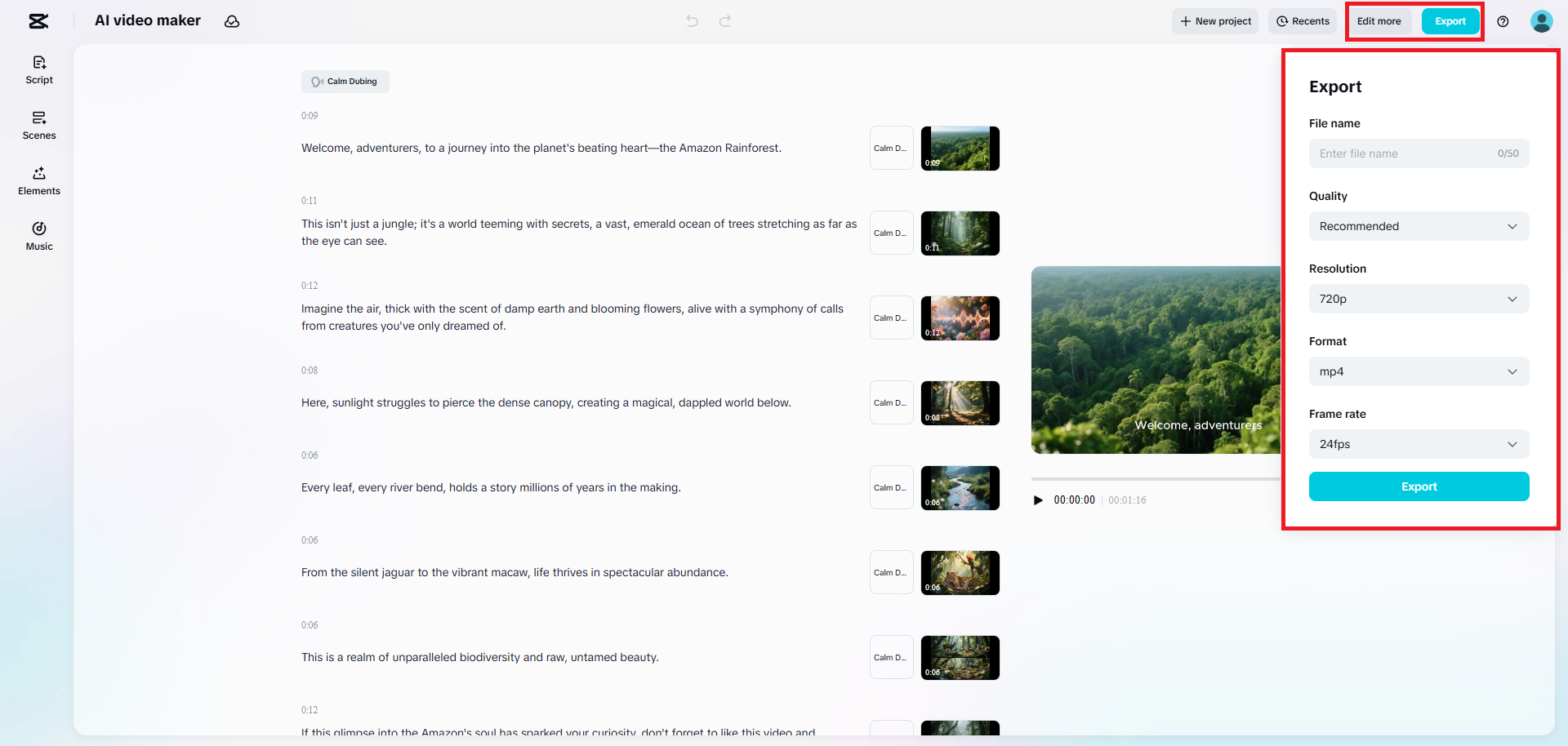 Finalize and download your video