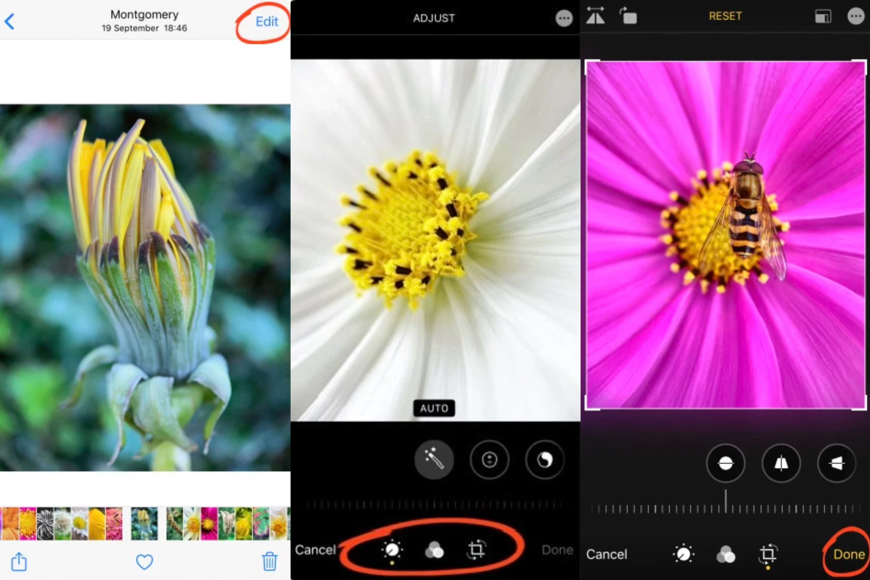 Saving the edited image from Apple photo editor on iPhone