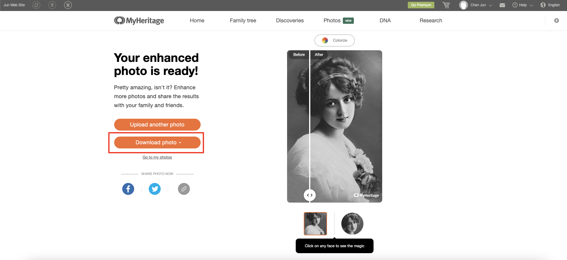 MyHeritage 写真エンハンサーの費用