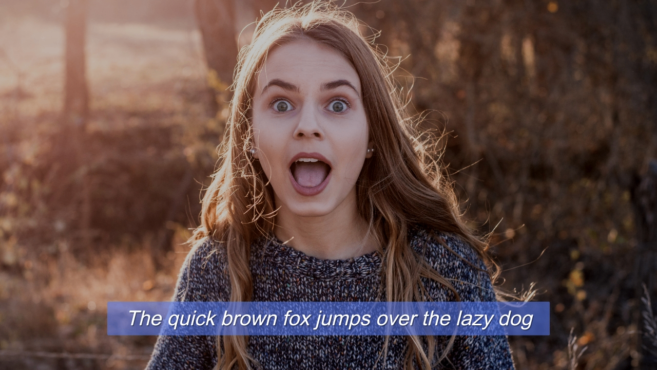 Key elements of a readable subtitle font