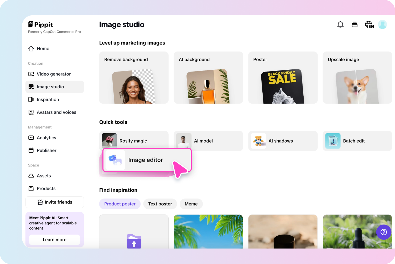 Access Image editor