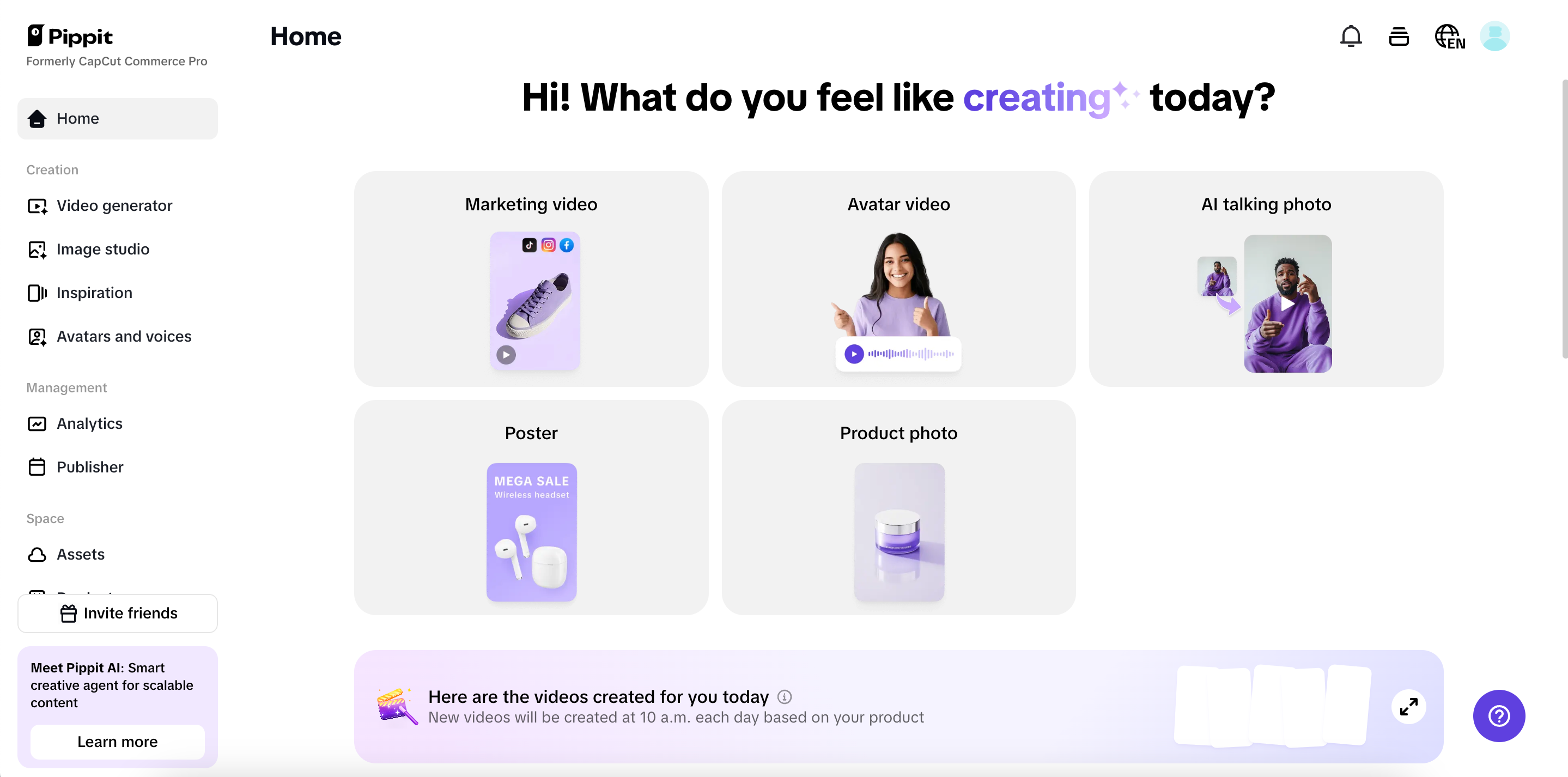Pippit interface