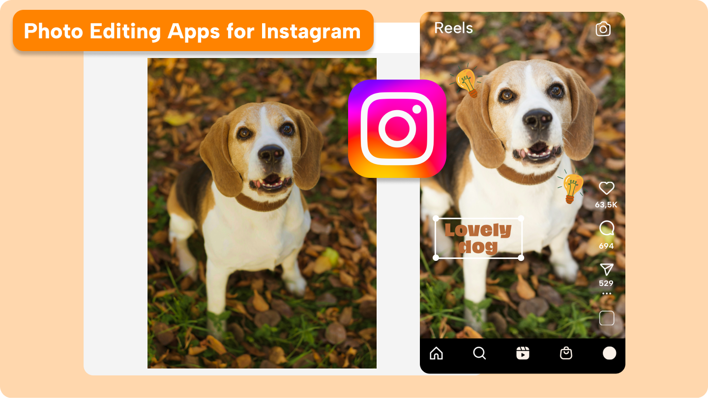 Instagram-fotoappar