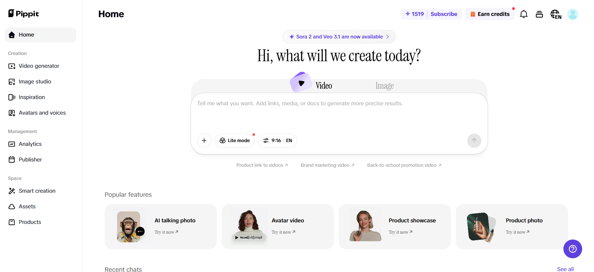 Интерфейс Pippit