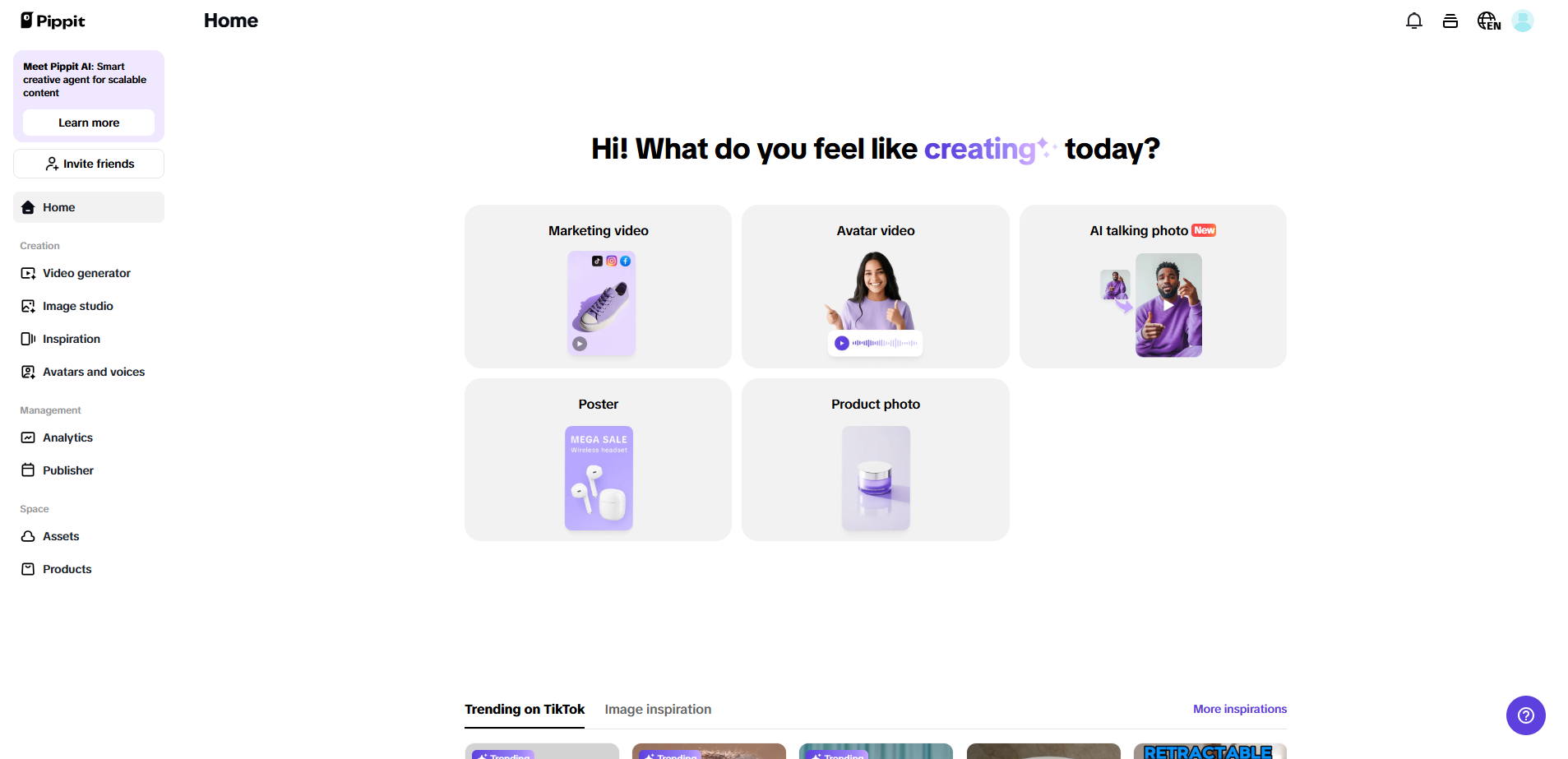 Pippit interface