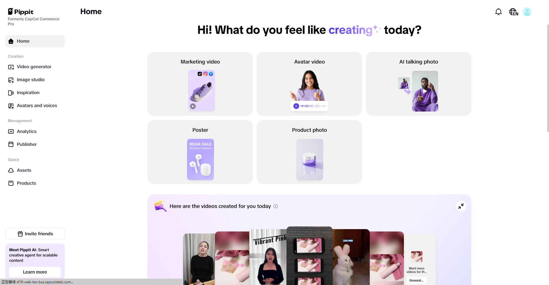 Pippit's interface