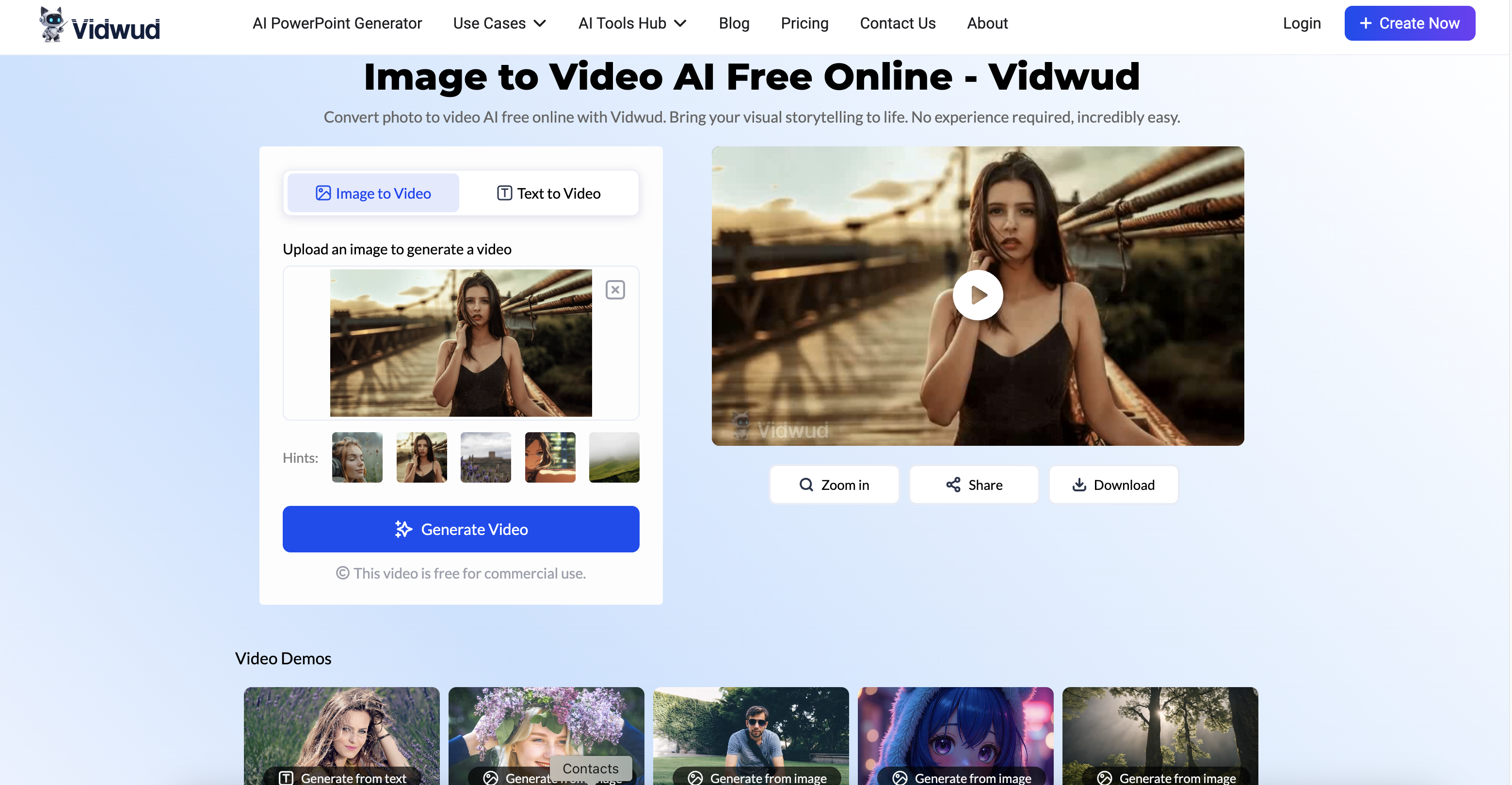 Giao diện Vidwud