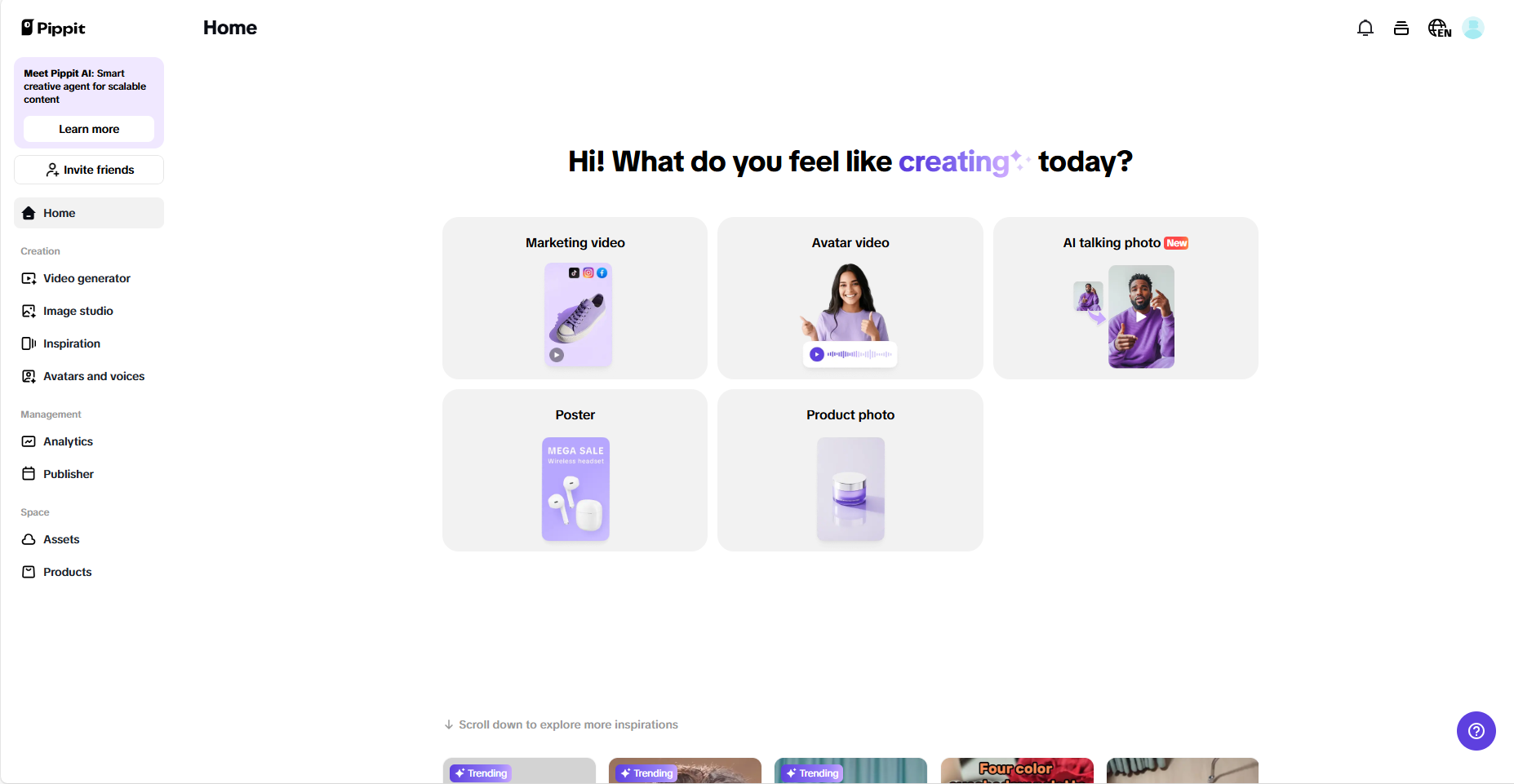 Pippit interface