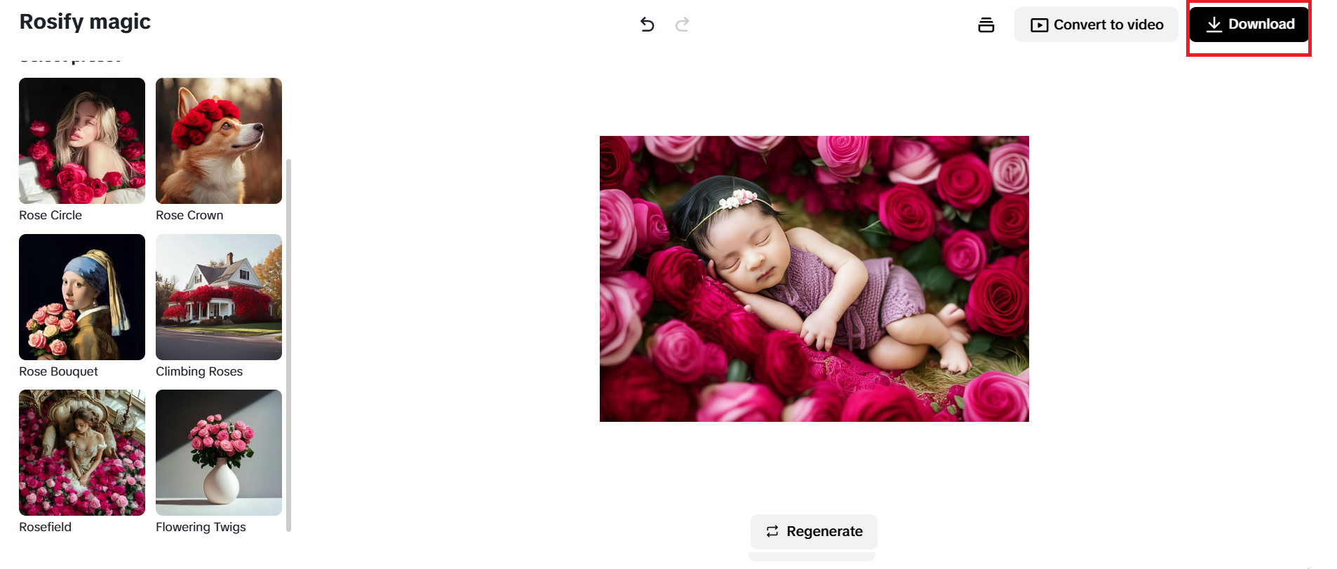 Download the rose-themed image