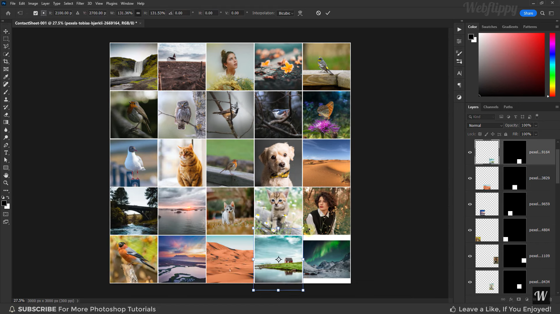 Photoshop - 最適なフォトモンタージュソフトウェア